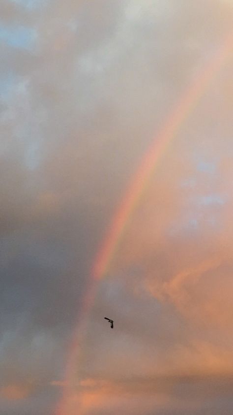 Wallpaper sky rainbow sunset pink Light Rainbow Aesthetic, Soft Rainbow Aesthetic, Sky Rainbow Aesthetic, Rainbow Sky Wallpaper, Rainbow Lockscreen, Sunset With Rainbow, Rainbow In Sky, Sky And Rainbow, Soft Dreamy Aesthetic