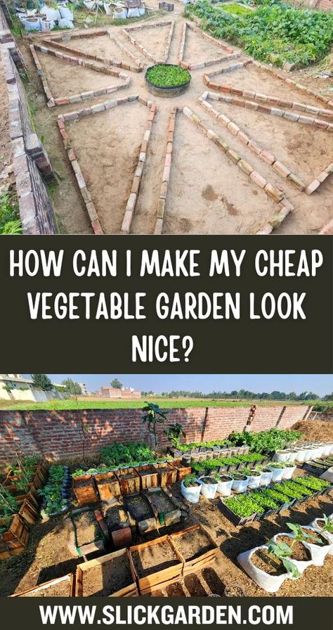 "Transform your vegetable garden into a low-cost haven of beauty! 🌼 Discover tips and tricks for creating an aesthetically pleasing space without the hefty price tag. Let's cultivate on a budget! #VegetableGardenMakeover #BudgetBeauty" Diy Veg Garden, Diy Garden On A Budget, Cheap Garden Diy, Diy Raised Beds Garden Cheap, Easy Beginner Vegetable Garden, Diy Allotment Ideas, Budget Garden Ideas Diy, Creative Vegetable Garden Ideas, Rustic Vegetable Garden