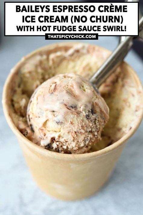 This no churn Baileys Espresso Crème Ice Cream is easy to make without an ice cream maker, and full of irresistible Colombian coffee flavors with chocolate and vanilla notes, and dark and rich hot fudge sauce swirls! #baileys #nochurn #icecream #summer #baileysespressocreme #hotfudgesauce #glutenfree #dessert | That Spicy Chick Creamy Chocolate Ice Cream, Ninja Creami Ice Cream Recipes Baileys, Baileys Ice Cream Recipe, Baileys On Ice, Hot Fudge Ice Cream Topping, Baileys Espresso, Whiskey Ice Cream, Choco Almond Fudge Ice Cream, Baileys Ice Cream