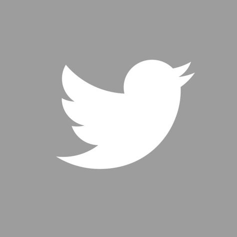 Twitter Icon Png, Twitter Png, Aesthetic Blanco, Icona Ios, Twitter Logo, Twitter App, Zestaw Ikon, Logo Instagram, Logo Application