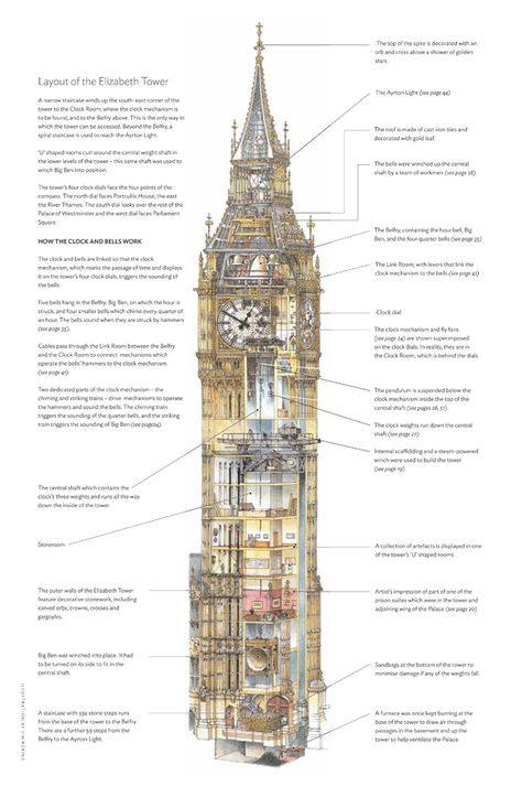 Big Ben and the Elizabeth Tower - Inside cover  This specially-commissioned illustration sets out the layout of the Elizabeth Tower.   Parliamentary copyright 2013 House of Lords and House of Commons. Big Ben Bell, Trips To London, Houses Of Parliament London, Edinburgh Restaurants, Elizabeth Tower, Architecture Site Plan, London Drawing, London Big Ben, Speaker Of The House