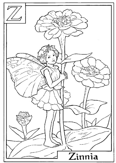 Fairy printable colouring page.  Z is for Zinnea Fairy Colouring Pages, Fairy Coloring Book, Fairy Pictures, Fairy Coloring Pages, Cicely Mary Barker, Fairy Coloring, Alphabet Coloring Pages, Pola Sulam, Alphabet Coloring