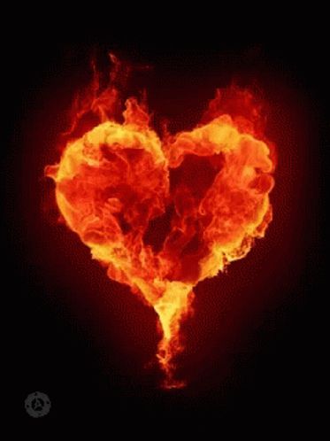 Burning Heart GIF - Burning Heart Fire - Discover & Share GIFs King Of Hearts Card, The Heart Is Deceitful, Heart On Fire, Animated Heart, Flame Art, Heart Gif, I Love Heart, Light Background Images, Fire Art