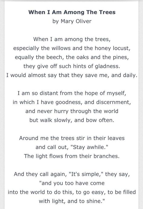 Sierra Club on Twitter: "Rest in peace, Mary Oliver. What a beautiful poet.… " When I Am Among The Trees, Tyler Kent White, Mary Oliver Poems, Tree Poem, Beadwork Earrings, Happy Life Quotes, Sacred Spaces, Mary Oliver, Words Worth