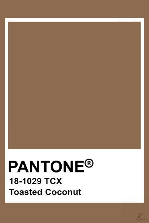 Hoboken Apartment, Brown Pantone, Highlight Colors, Pantone Tcx, Colour Names, Pantone Colours, Pantone Color Chart, Pantone Swatches, Pantone Palette