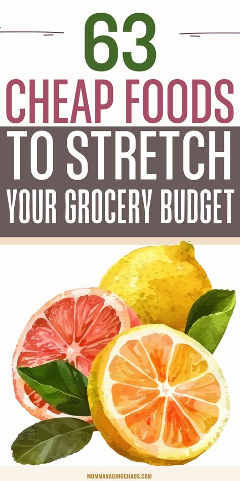 Learn how to create a grocery list that keeps you on budget and saves money each time you shop. With these practical tips, you'll plan meals efficiently, avoid overspending, and reduce food waste while sticking to your financial goals. Perfect for families looking to manage their grocery expenses.   Cheap Grocery List - Cheap Groceries - Cheap Healthy - Cheap Healthy Meals -  Frugal Living _ Thrifty Living  - Living Cheap How To Grocery Shop On A Budget Families, Basic Shopping List Food, Groceries On A Budget For 4, Grocery List On A Budget Family Of 5, Cheap Walmart Grocery List, $25 A Week Grocery Budget, Groceries For $50 A Week, Frugal Grocery List, Cheap Healthy Snacks Budget