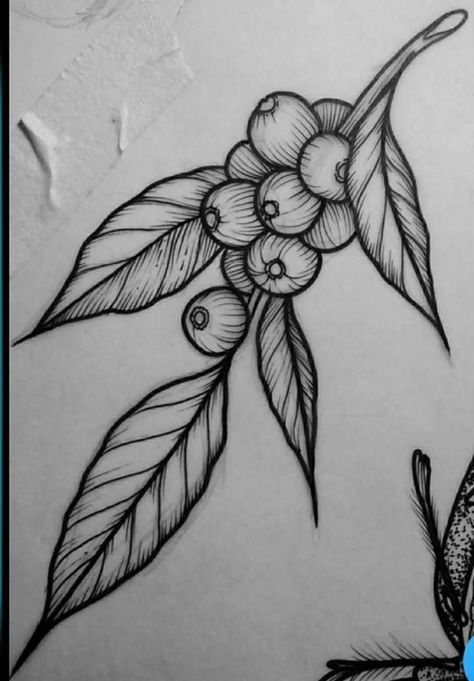 Blatt Tattoos, Traditional Tattoo Outline, Engraving Tattoo, Polynesian Tattoos, Manga Tattoo, Coffee Tattoos, Geometric Tattoos, Plant Tattoo, Tatuaje A Color