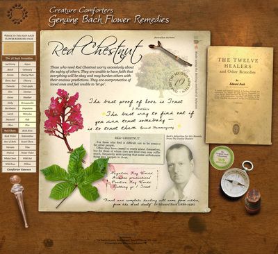 Red Chestnut Bach Flower Remedy for over worry for others - Creature Comforters Celtic Zodiac Signs, White Chestnut, Inner Turmoil, Bach Flowers, Flower Remedies, Bach Flower Remedies, Red Chestnut, Flower Remedy, Flower Essences