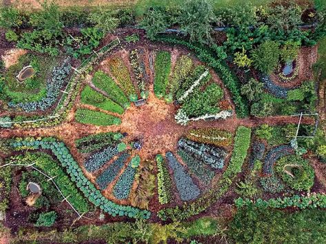 How I Use Nature's Patterns to Optimize Garden Design Biodynamic Gardening, Mandala Garden, Garden Pavillion, Ornamental Garden, Vegetable Garden Planner, Garden Magic, Garden Layout Vegetable, Herb Garden Design, Urban Farm