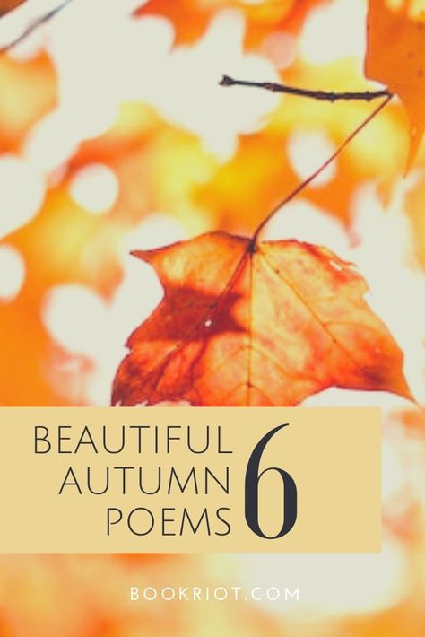 'Tis the season for beautiful autumn poetry.   poetry | poems about fall | autumn poems | poems to read Fall Poems Beautiful, Poems About Fall, Harvest Poems, October Poem, Fall Poem, Fall Poetry, Poetry Teatime, Fall Lyrics, Pumpkin Poem