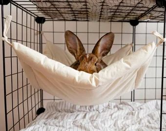 Indoor Rabbit Hutch | Etsy Diy Bunny Cage, Indoor Rabbit Cage, Bunny Supplies, Rabbit Enclosure, Bunny Beds, Bunny Hutch, Rabbit Bedding, Bunny Room, Pet Bunny Rabbits