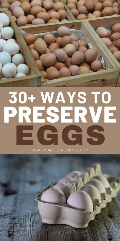 Preserve Eggs, Preserving Eggs, Canning Food Preservation, Canned Food Storage, Backyard Chicken Farming, Raising Backyard Chickens, Backyard Chicken Coops, Home Canning, Farm Fresh Eggs