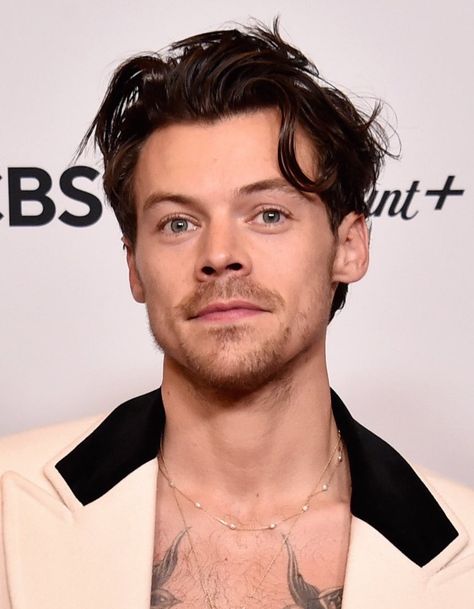 2023 Harry Styles, Harry Styles Taylor Swift, Grammys 2023, Harry Styles Hair, Missing My Husband, Harry Styles Face, Grammys Red Carpet, Album Of The Year, Harry Styles Wallpaper