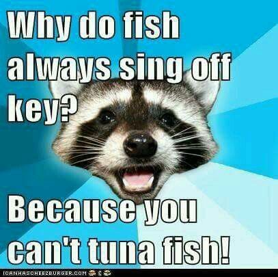 Why do fish always sing off key? Because you can't tuna fish. Punny Jokes, Kid Jokes, Kids Jokes, Jokes And Puns, Lame Jokes, Cheesy Jokes, Animal Puns, Corny Jokes, Bad Puns