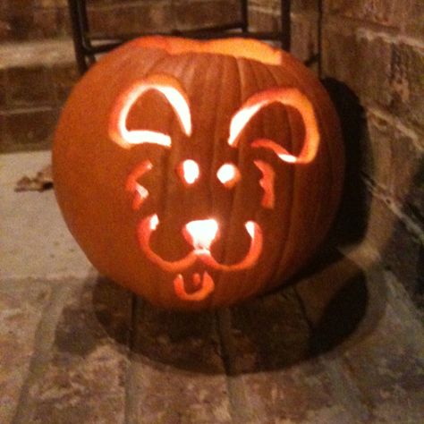 Puppy dog pumpkin jack o lantern Puppy Jack O Lantern Ideas, Puppy Pumpkin Carving, Dog Pumpkin Carving, Jackolantern Ideas, Puppy Pumpkin, Pumkin Ideas, Carving A Pumpkin, Puppy Pals, Pumpkin Stencils