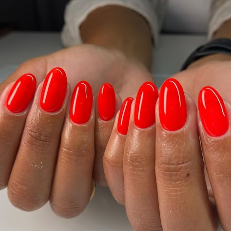 R E B E K A | nail tech | Absolutely swooning over this combo of flawless natural nails & one coat coverage of @luxapolish MAI TAI 😮‍💨 All of my clients know that… | Instagram Bright Summer Red Nails, Vibrant Red Nails, Summer Red Nails 2024, Bright Red Summer Nails, Red Neon Nails, Neon Red Nail Polish, Orangey Red Nails, Coral Red Nails, Fun Red Nails