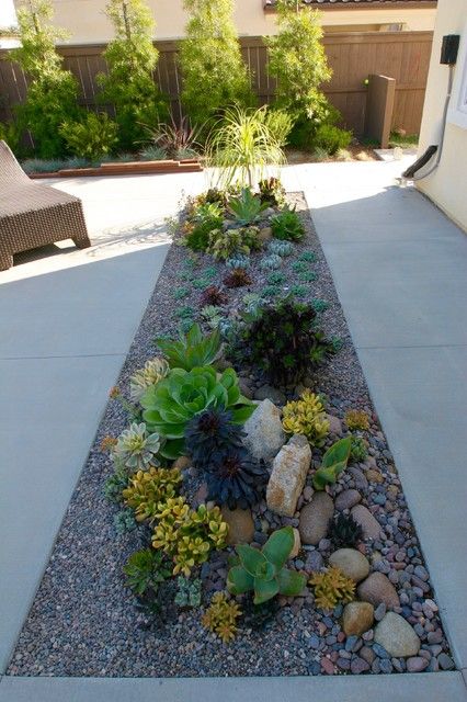 Modern Elegance, Driveway, A Garden, Succulent, San Diego, Landscaping, Decor Ideas, Yard, Plants