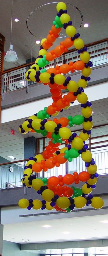 Dna Sculpture, Science Balloons, Science Vbs, Medical Themed Parties, Maker Fun Factory Vbs 2017, Maker Fun Factory Vbs, Balloon Walls, Maker Fun Factory, Deco Ballon