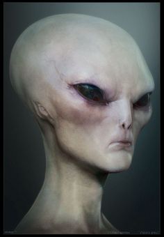 Grey Alien skin study Aliens Exist, Alien Face, Grey Alien, Fantasy Horror, Arte Alien, Alien Character, Alien Concept, Alien Abduction, Aliens And Ufos