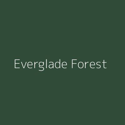 Browse our wide range and order your tester today to add some colour to your life. Ideal size fits through your letterbox. Everglade Forest Living Room, Everglade Forest Dulux Paint, Dulux Everglade Forest Green, Dulux Green Paint, Paint House, Bedroom 2024, Hunting Room, Dulux Paint, Good To See You