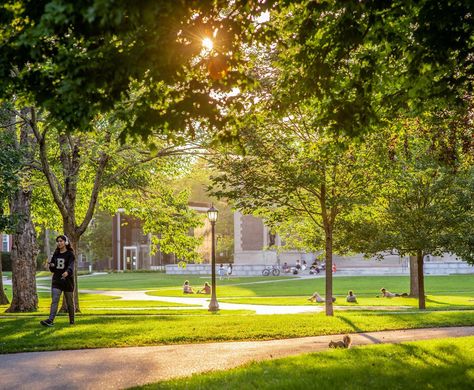 Boston College Campus, Baltimore City College High School, Baylor College Of Medicine, Oriel College Oxford, Bowdoin College, Liberal Arts College, Stem Programs, Liberal Arts, Scholarships For College