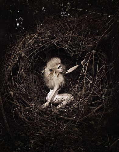 America's Next Top Model -Allison | It's a pity, she didn't … | Flickr Bird Photoshoot, Allison Harvard, America's Next Top Model, Fantasy Photography, Next Top Model, Exotic Birds, Shoot Inspiration, Bird Photo, Back To Nature