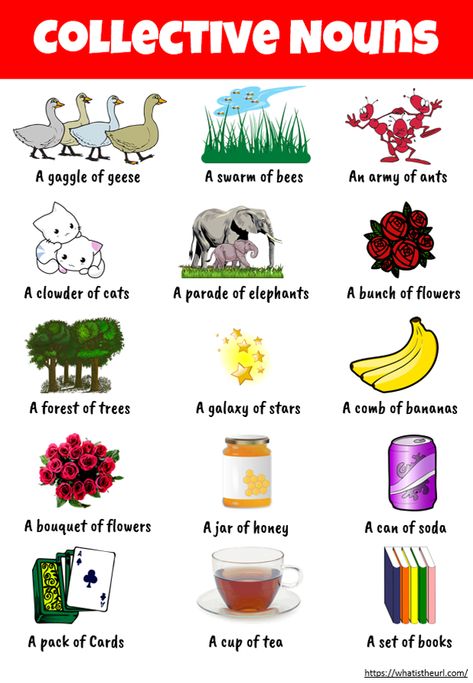 Chart on Collective Nouns - Your Home Teacher Charts For Grade 1 Classroom, Collective Nouns Worksheet Grade 4, Grammar Charts For Classroom, Vocabulary Words For Kids, Noun Chart, Nouns For Kids, Collective Nouns Worksheet, English Charts, Nouns Activities