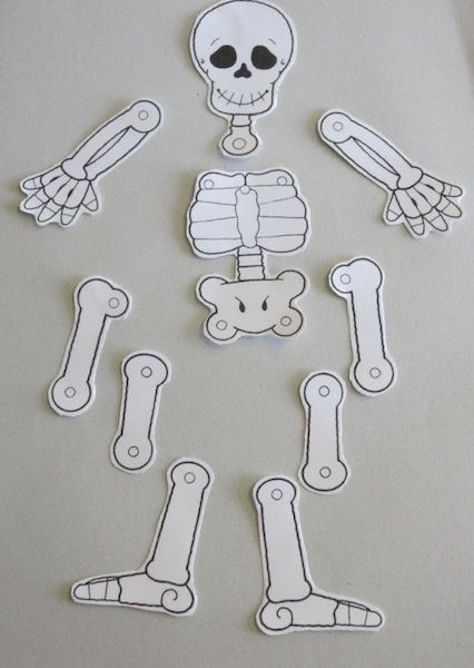 Easy Halloween Crafts | Make a Skeleton Human Body Preschool, Skeleton Template, Skeleton Craft, Body Preschool, Afternoon Crafts, Purposeful Play, Kids Singing, Play And Learn, Binder Cover