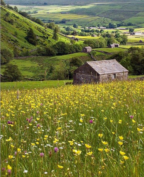 Cabin In Meadow, House In A Meadow, Meadow Aesthetic, Spring Landscape Photography, Meadow Field, Meadow House, Meadow Photography, Sunny Meadow, Beautiful Meadow