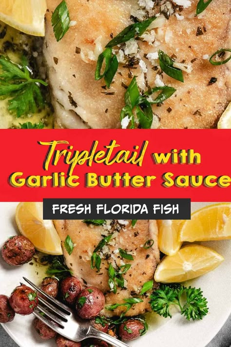 Delicately seared tripletail, complemented by a sweet garlic butter sauce. Serve with rice or roasted veggies for a complete meal. Baked Triple Tail Fish Recipe, Recipes For Triple Tail Fish, Tripletail Fish Recipe, Triple Tail Fish Recipe, Cook Fish, Fish Recipes Baked, Recipes Fish, Islamorada Florida, Florida Fish