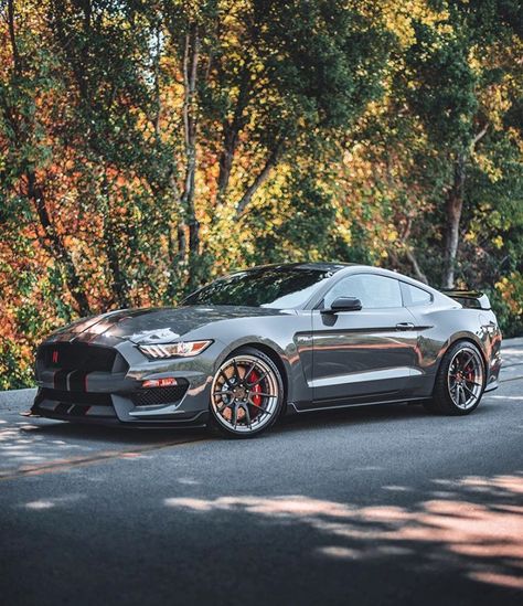 2018 Mustang Gt, 2018 Mustang, Ford Mustang Bullitt, Muscle Cars Mustang, Mustang Bullitt, Ford Shelby, Mustang Fastback, Street Racing Cars, Ford Mustang Shelby