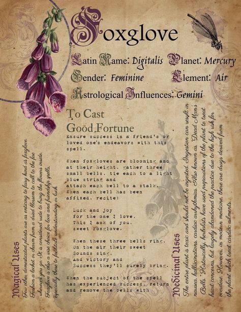 Book Of Shadows Inspiration, Book Of Shadows Ideas, Witch Printables, Spell Ideas, Plant Meanings, Herb Medicine, Green Witch Aesthetic, Witch Grimoire, To Be A Witch