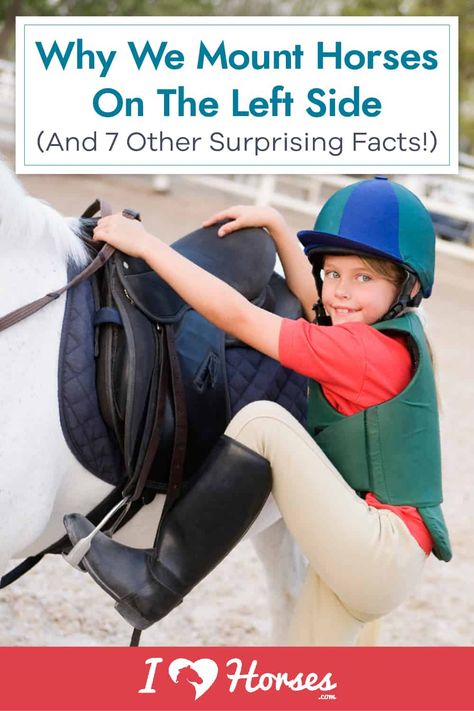 Why Do We Mount On The Left? Plus Other Horse Facts Mounting A Horse, Horse Training Exercises, Horse Behavior, Horseback Riding Tips, Horse Braiding, Horseback Riding Lessons, Horse Lessons, Horse Information, Horse Exercises