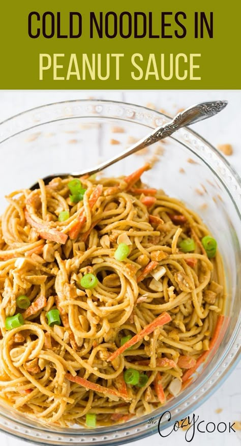 Cold Peanut Noodles, Meatless Lunch, Asian Pasta, Peanut Sauce Noodles, Easy Peanut Sauce, Cozy Cook, Asian Noodle Recipes, Sesame Noodles, Cold Noodles