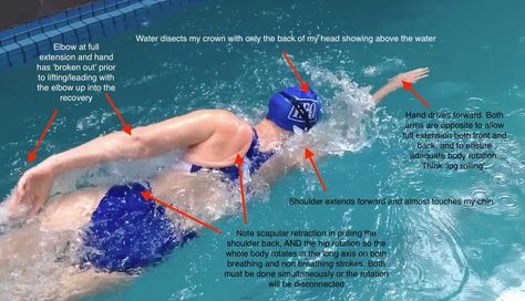 Mastering Swimming: Workouts and Technique | Freestyle stroke tips for anyone who might want them. | Facebook Freestyle Swimming Tips, Swimming Breaststroke Tips, Swimming Strokes Freestyle, Breaststroke Swimming, Swimming Workouts, Swimming Strokes, Swimming