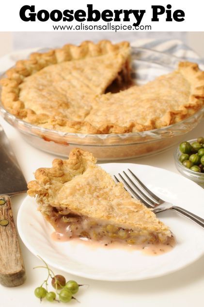 Gooseberry Pie Recipe, Gooseberry Pie, Gooseberry Recipes, Pie Crust Shield, Homemade Pie Crust Recipe, Berry Pie, Homemade Pie Crusts, Pie Crust Recipes, Butter Pie