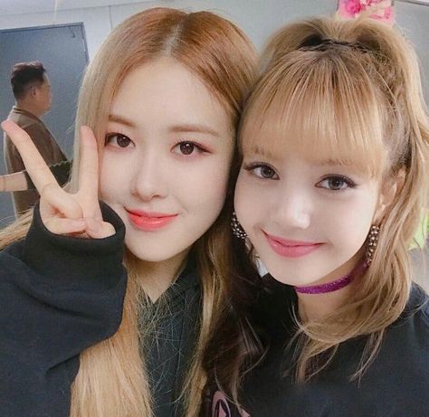 Love this two so much 💙💜 #rosé #lisa #chaelisa Mnet Asian Music Awards, Blackpink Wallpaper, Rosé Jisoo, Blackpink Members, Rose Park, Lisa Rosé, Jennie Lisa, Rosé Blackpink, Blackpink Photos