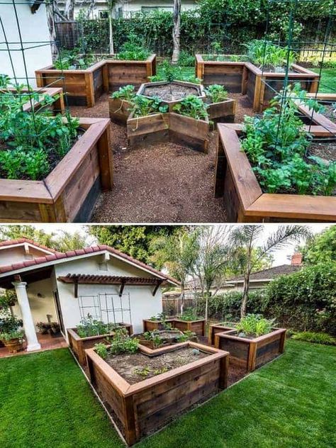 When planning your garden, there are so many backyard landscaping and garden design ideas out there and it’s so hard to choose. This post will help you learn how to design and sketch your garden design ideas to plan your perfect garden. You have to see these amazing garden design ideas on this pin! #gardening #gardeningtips #gardeningplans #backyardlandscaping #gardendesignideas Raised Garden Designs, Shed Inspiration, Taman Diy, Raised Garden Bed Ideas, Garden Bed Ideas, Raised Garden Bed Plans, Garden Layout Vegetable, Building A Raised Garden, Farm Living