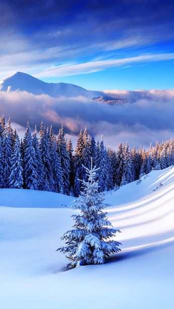 Nature Natur Snow Scenery, Snowy Scene, Winter Mountain, Winter Wallpaper, Winter Scenery, Winter Beauty, Snow Scenes, Winter Pictures, Winter Wonder