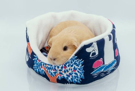 Guinea Pig Sewing Projects, Guinea Pig Fleece Bedding Diy, Guinea Pig Diy Hideouts, Guinea Pig Hideout Diy, Diy Guinea Pig Hideout, Aesthetic Guinea Pig Cage, Guinea Pig Crochet, Guinea Pig Cage Ideas, Guinea Pig Fleece