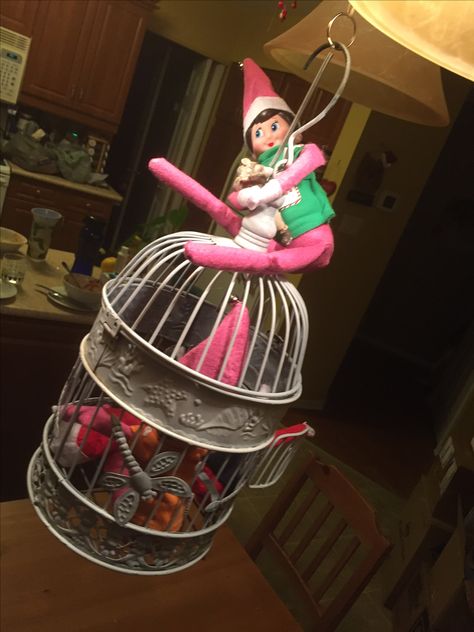 Elf on shelf trapped in bird cage Elf On Shelf, A Shelf, Bird Cage, Elf On The Shelf, High Chair, Elf, Shelves, Furniture, Home Decor