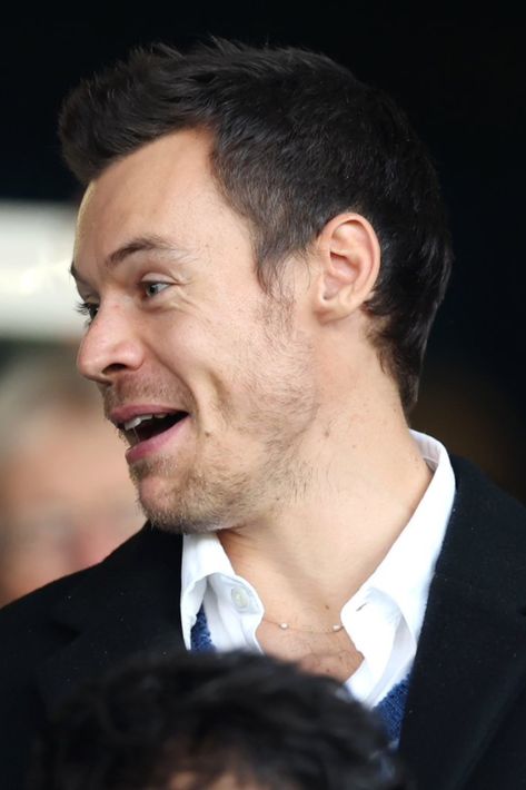 harry styles watching the luton vs manchester united game, luton, england, united kingdom, feburary 18th 2024 Harry Styles 2024 Hair, Harry Styles Bear, Harry Styles Short Hair, Harry Styles Hair, Taylor Russell, Harry Styles Imagines, Whisper Board, Girl Dinner, Harry Styles Wallpaper