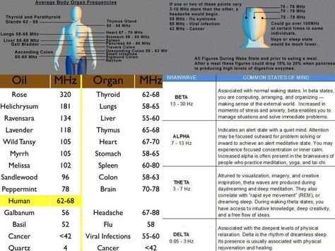 Young Living Essential Oils: Body Organ Frequency Education Frequency Chart, Isochronic Tones, True Yoga, Natural Medicine Cabinet, Vibrational Medicine, Essential Oil Companies, Average Body, Yl Essential Oils, Mind Control