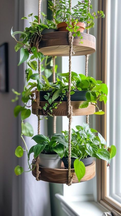 Rustic Hanging Planters, Indoor Window Planter Ideas, Plant Set Up Indoor, Bedroom Plant Shelf, Plants Shelf, Pot Gantung, نباتات منزلية, Garden Shelves, Crazy Plant Lady