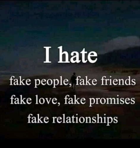 I hate fake people, fake friends, fake love, fake promises and fake relationships love life quotes quotes friendship life relationship fake people I Hate Fake People, Fake People, Love Life Quotes, Fake Friends, Fake Love, Coming Out, Tumblr