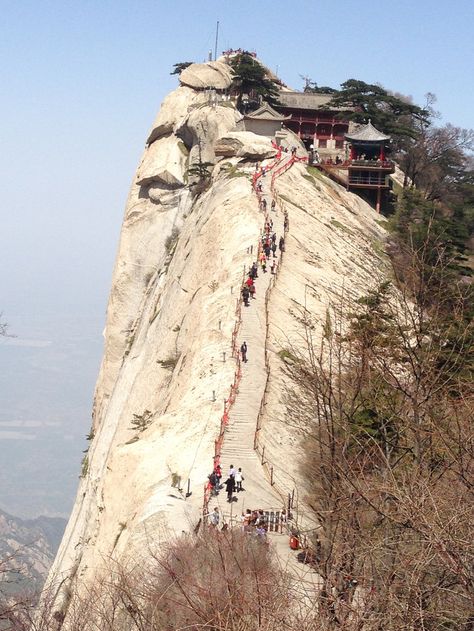 You can get a cup of tea at Cuiyun Palace on the west peak of Mount Hua. Mount Hua, Sacred Mountain, High Mountain, Hiking Routes, Route Map, China Travel, Tea House, Pilgrimage, Spiritual Journey