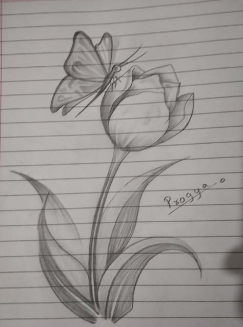 Random Sketch Ideas Simple Easy, Sketsa Flora Simple, Easy Drawings Nature, Butterfly On Flower Drawing, Butterfly And Flower Drawing, Flora And Fauna Drawings, Flower Butterfly Drawing, Aesthetic Flower Sketch, Simple Flower Drawing Easy