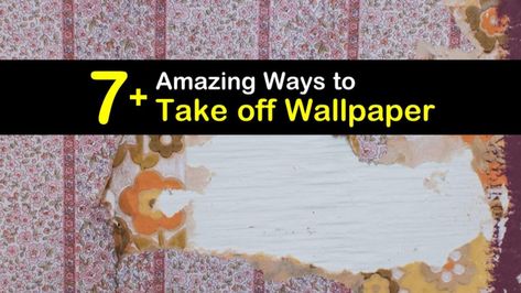 7+ Amazing Ways to Take off Wallpaper Take Off Wallpaper, Beadboard Diy, Plane Takeoff, Taking Off Wallpaper, Homemade Wallpaper, Off Wallpaper, Plane Wallpaper, Wallpaper House, Peelable Wallpaper