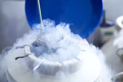 Liquid Nitrogen Facts, Safety and Uses Frozen Embryo Transfer, Egg Freezing, Freezing Eggs, Chances Of Pregnancy, Fertility Testing, Assisted Reproductive Technology, Body Clock, Liquid Nitrogen, Ivf Cycle