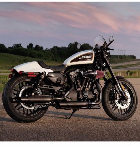 HD “Roadster” Sportster 1200 Harley Roadster, Harley Davidson Roadster, Hd Sportster, Мотоциклы Harley Davidson, Harley Davidson Trike, Sportster 1200, Harley Davidson Bike, Bike Pics, Davidson Bike